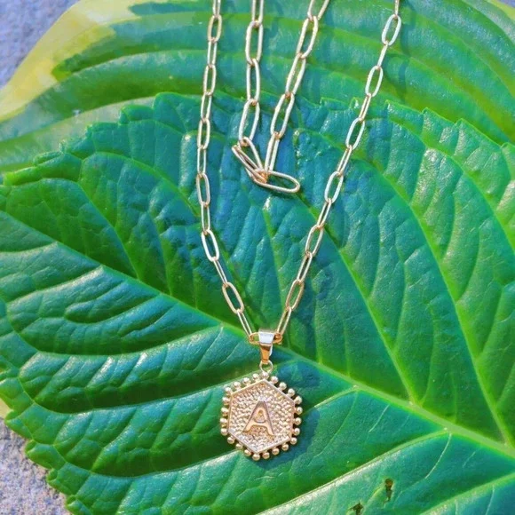 ▶ 2 LAYER GOLD LETTER INITIAL COIN HEXAGONAL PENDANTDAINTY NECKLACE, ELDM22335